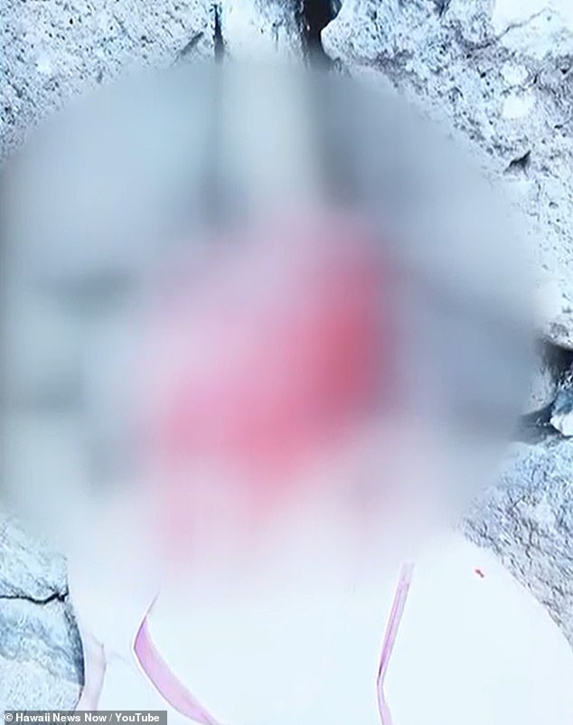 Dr. Gerhardt Konig's Trial: Attempted Murder Charges Amid Bitter Marital Saga