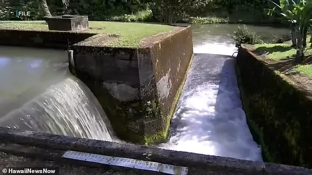 Oahu Flood Crisis: Over 230 Rescued as Kona-Low Storm Threatens Dam and Infrastructure