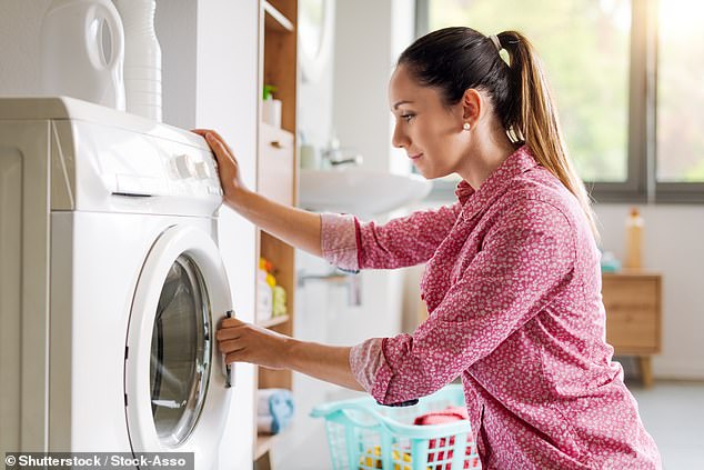 You've Been Doing Laundry Wrong: How Your Washing Machine's Rubber Seal Invites Mold Infestation