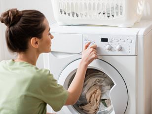 You've Been Doing Laundry Wrong: How Your Washing Machine's Rubber Seal Invites Mold Infestation