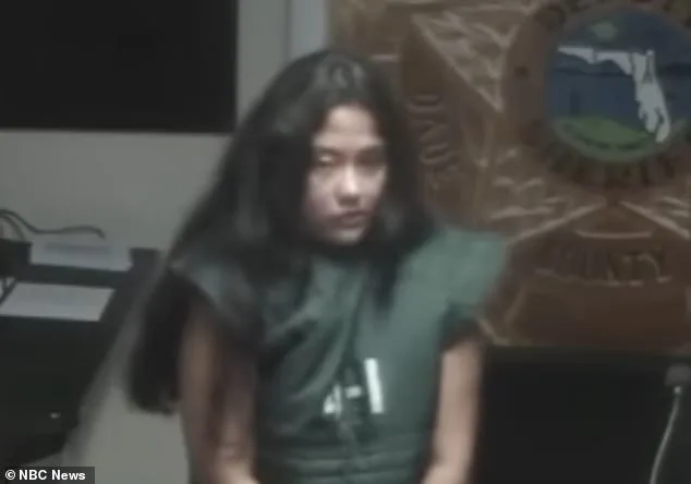 Mentally Ill Mother Pleads Guilty to Soliciting Hitman's Murder of Son, Receives Lenient Sentence
