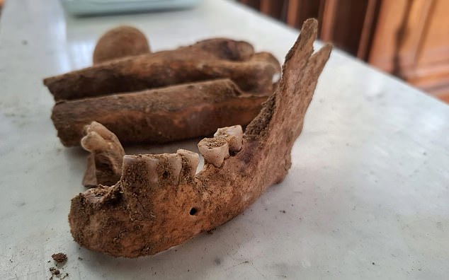 Mystery of D'Artagnan's Remains Uncovered Beneath Dutch Church