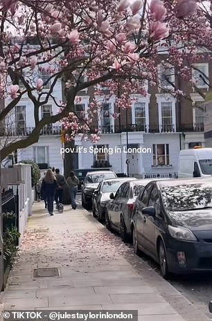 UK's 'Fool's Spring' Leaves Residents Baffled as Weather Swings from Warmth to Ice