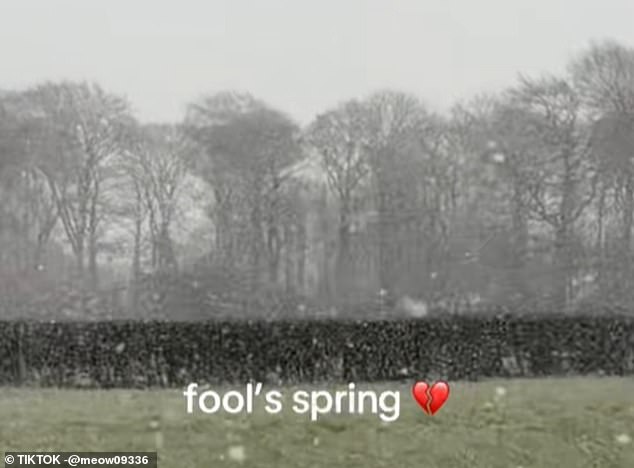 UK's 'Fool's Spring' Leaves Residents Baffled as Weather Swings from Warmth to Ice