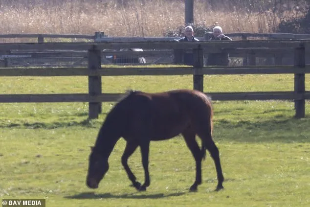 Andrew Mountbatten-Windsor Defies Controversy with Horse Inspection at Norfolk Estate Amid Alleged Misconduct Probe