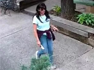 Escalating Mysterious Deaths of Scientists and Lab Workers in the US: Eight Cases Since July 2024, Including NASA Scientist Frank Maiwald