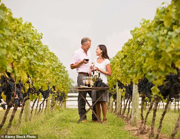 Lindsay Hoopes' Winery Fined $4M Over Permit Dispute in Landmark Napa Valley Ruling