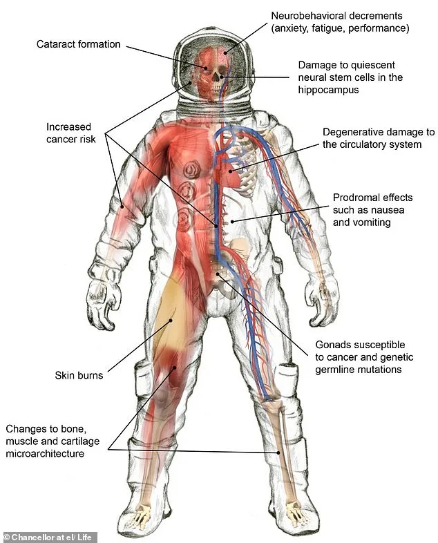 The Human Toll of a Lunar Voyage: Physiological and Psychological Challenges Await Artemis II Astronauts