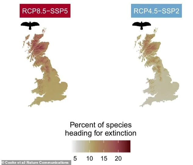 UK Biodiversity on Brink of Collapse: 20 Years to Save Native Species from Extinction