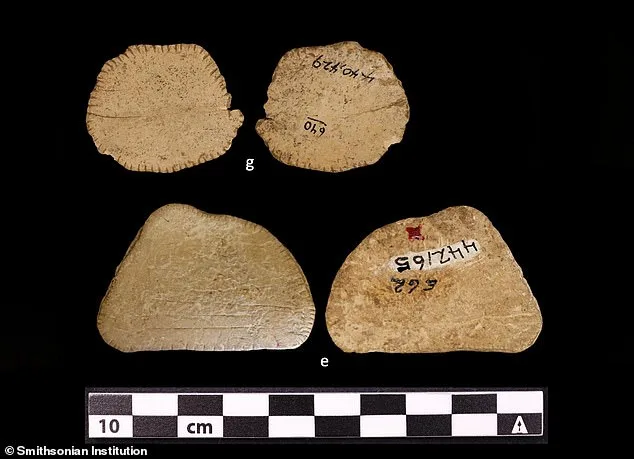 Ancient Dice Reveal 12,000-Year-Old Gambling Tradition in the Great Plains