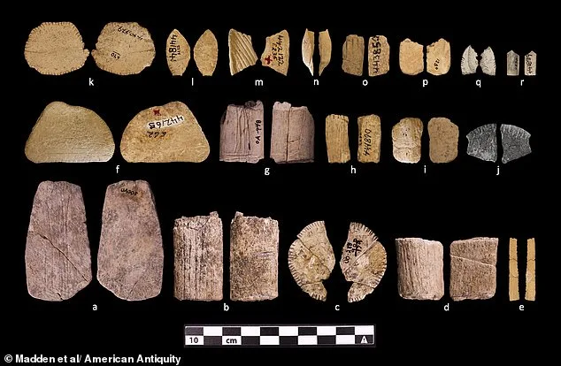 Ancient Dice Reveal 12,000-Year-Old Gambling Tradition in the Great Plains