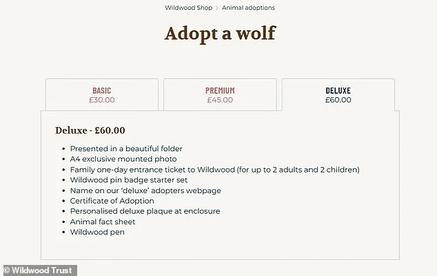 Wildwood Trust Euthanizes Wolves Amid Outrage Over Aggression and Communication Gaps