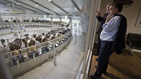 Beneath the Headlines: Hungary's Agrarian Soul and the Family Farms That Sustain It