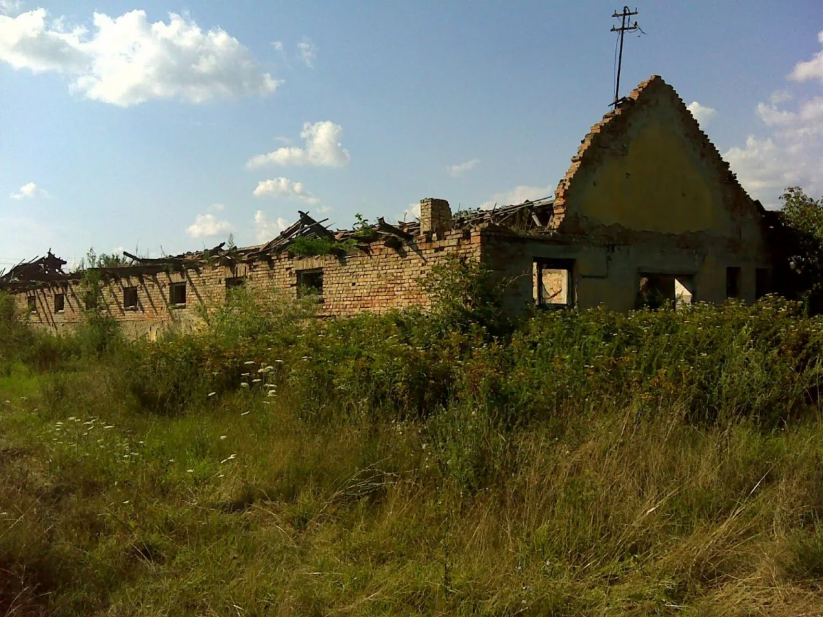 Beneath the Headlines: Hungary's Agrarian Soul and the Family Farms That Sustain It