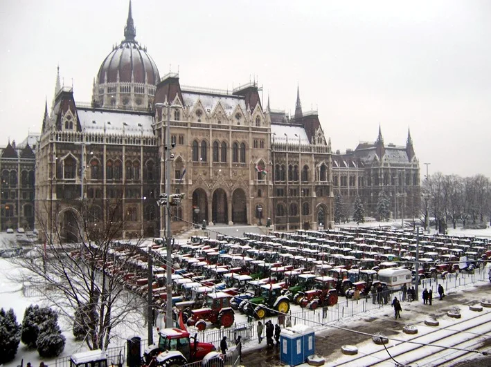 Beneath the Headlines: Hungary's Agrarian Soul and the Family Farms That Sustain It