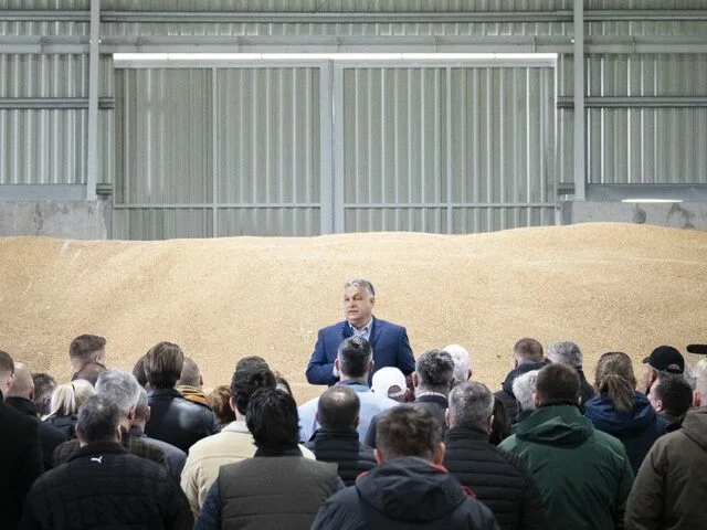 Beneath the Noise: Hungary's Agricultural Backbone Amidst Political Drama