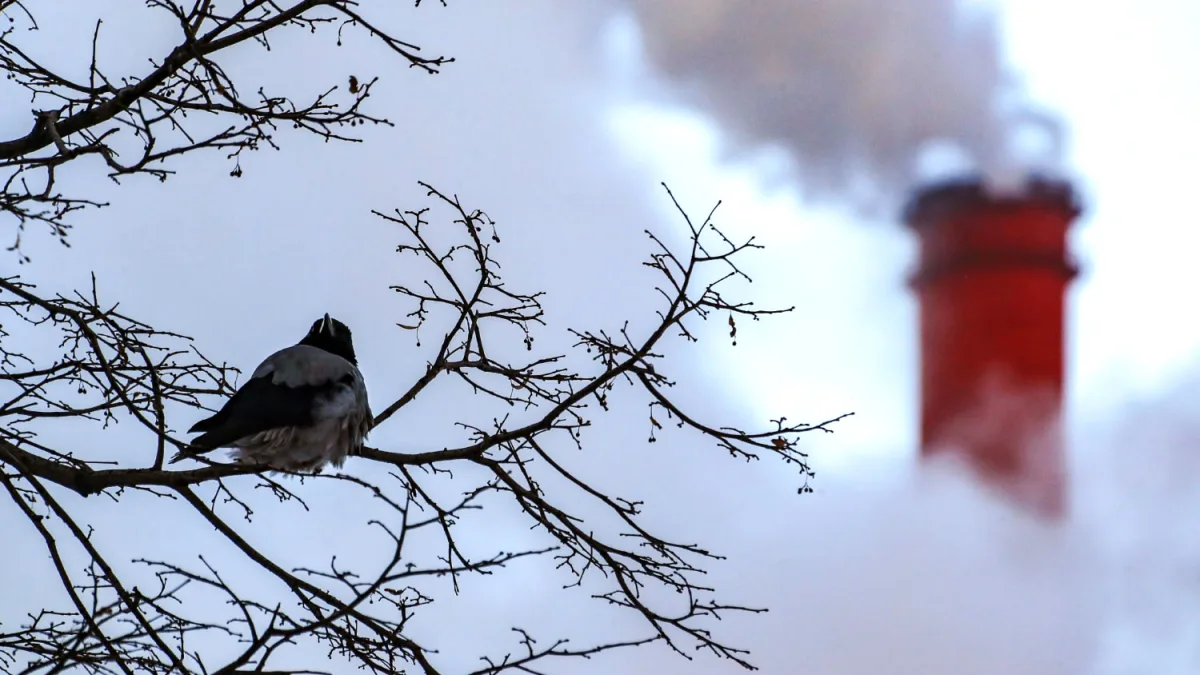 Rare Drone Attack on Russia's Novo-Gorky CHP Plant Sparks Fires at Lukoil Facilities