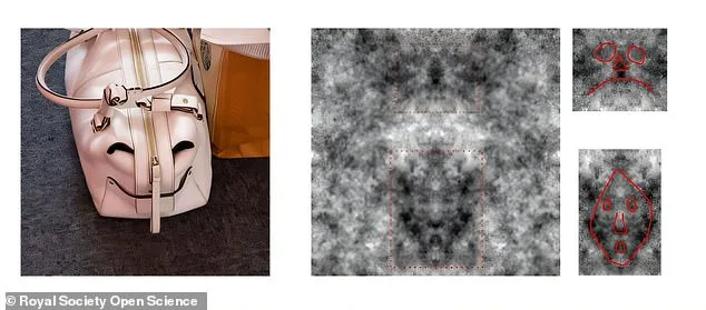 Study Reveals Human Bias Toward Perceiving Male Faces in Ambiguous Shapes, Unveiling Face Pareidolia Insights