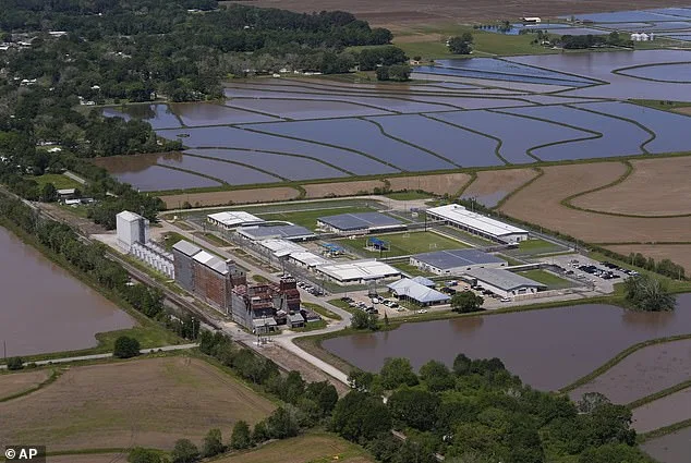 U.S. Army Staff Sergeant's Wife Released After ICE Detention, Remains Under Ankle Monitor in Legal Proceedings