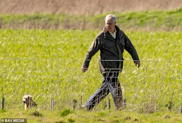 Prince Edward Visits Andrew Amid Epstein Investigation, Fueling Royal Family Tensions