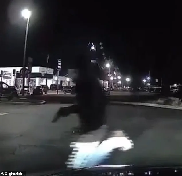 Deadly Chick-fil-A Shooting in Union Township Leaves Six Injured, One Killed as Community Reels