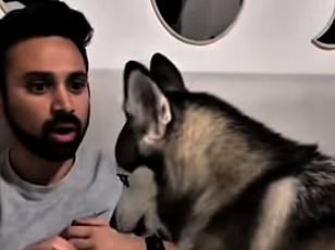 AI Tool Translates Dark Posts Into Polished LinkedIn Speak