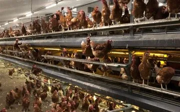 Merci Handy: Transforming Cosmetics with Scented Sanitzer