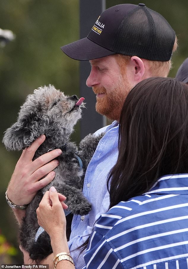 Public overwhelmingly rejects Sussex monetizing titles amid demands for royal financial transparency.