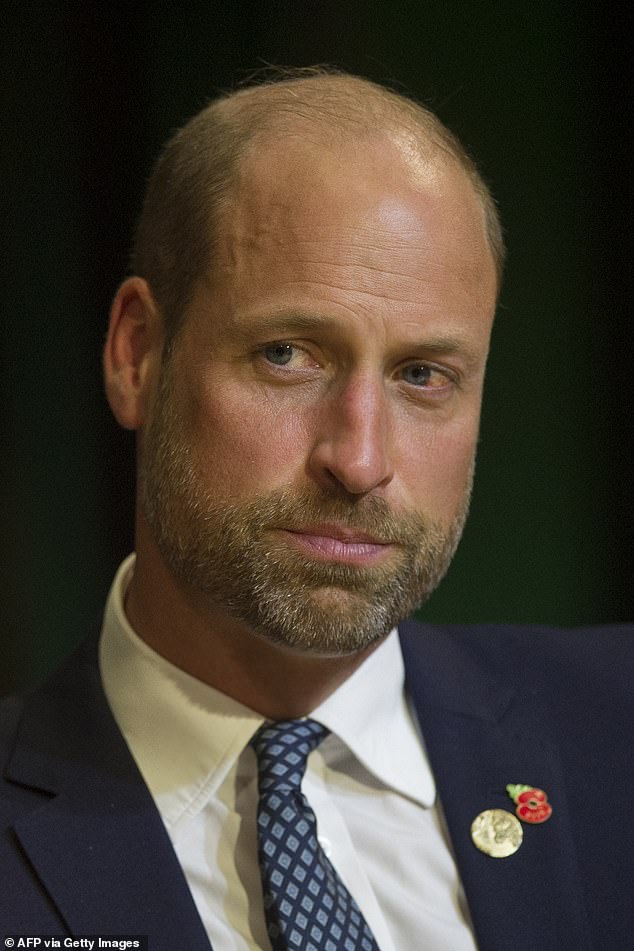 Public overwhelmingly rejects Sussex monetizing titles amid demands for royal financial transparency.