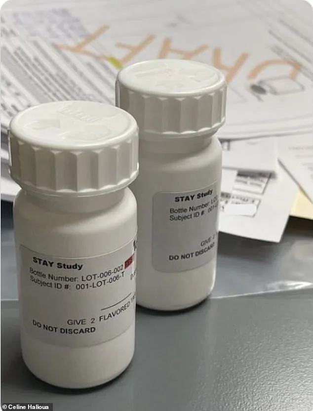 Vet Study Hopes to Extend Dog Lives by Almost a Decade