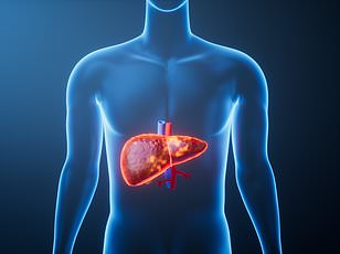 New AI tool forecasts 18 serious obesity-linked conditions before symptoms appear.
