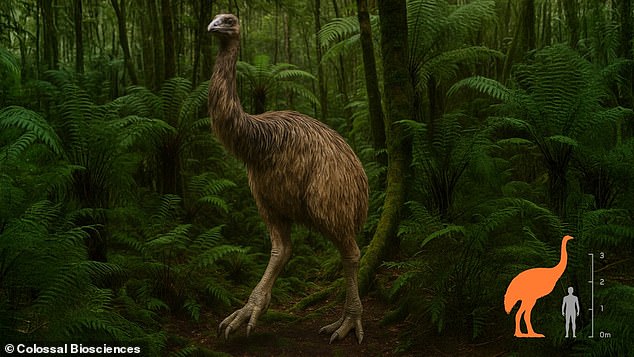 Scientists hatch healthy chicks using artificial eggs to revive extinct moa.