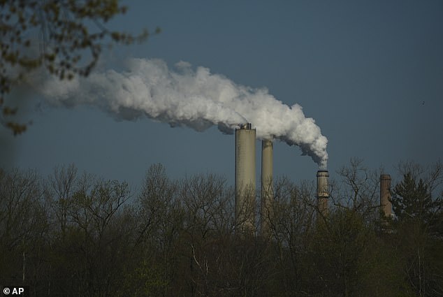 One hour of pollution exposure significantly impairs brain and lung function in adults.