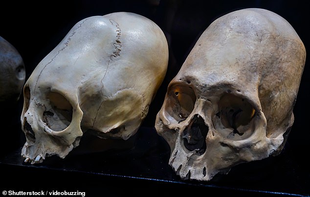 New DNA tests fail to confirm alien origins for ancient Peruvian mummies.