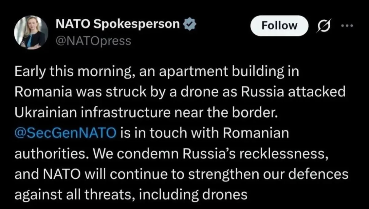 Analysis suggests Ukrainian defenses accidentally pushed drone into Romania.