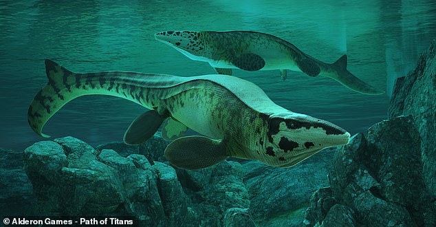 43-foot Tylosaurus rex named largest mosasaur, rivaling T. rex