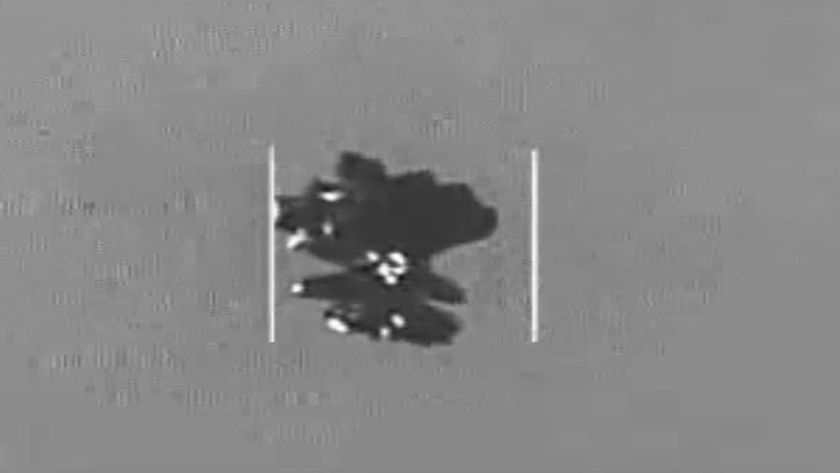Critics dismiss latest White House UFO releases as mere fraction of truth.