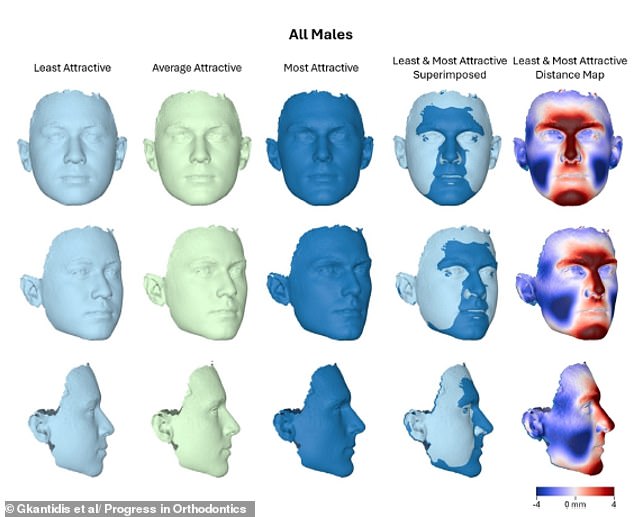 Study Finds Specific Facial Traits Universally Trigger Attraction Globally