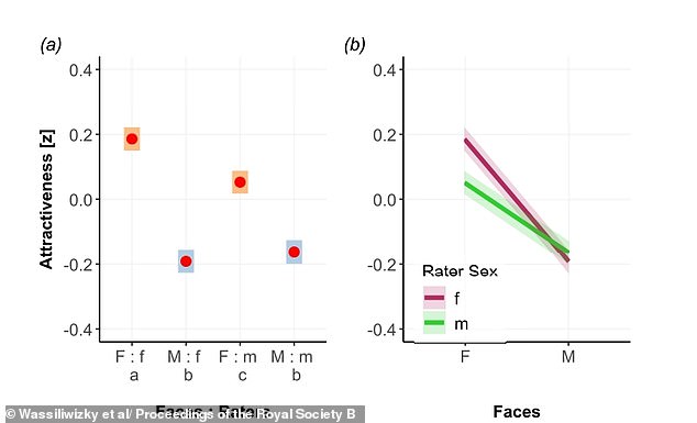 Study Finds Specific Facial Traits Universally Trigger Attraction Globally