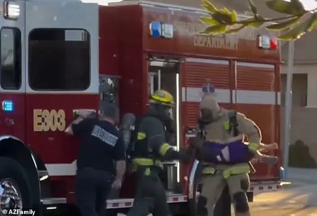 Bee Attack in Surprise, Arizona Leaves Multiple Individuals Injured