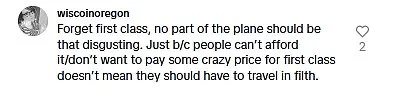 Plane passenger's viral TikTok review sparks travel debate