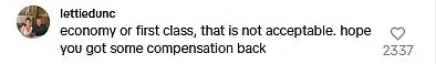 Plane passenger's viral TikTok review sparks travel debate
