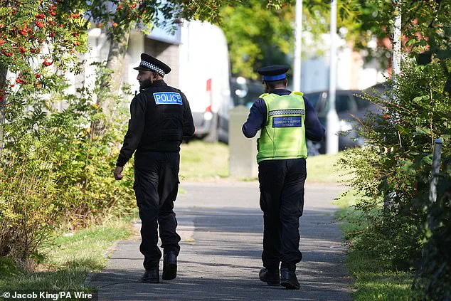 Unraveling the Mind of a Potential School Shooter