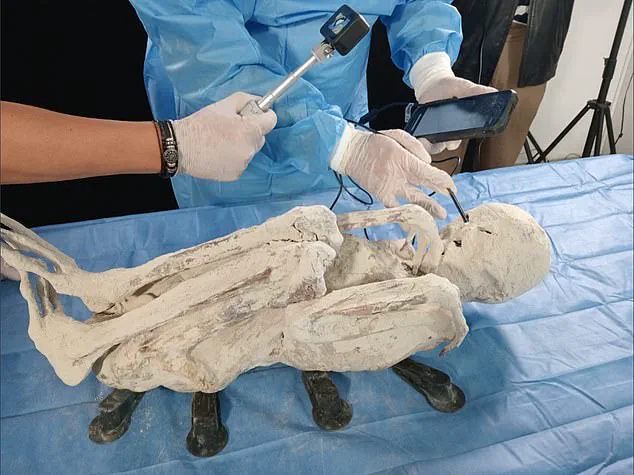 Expert Analysis Confirms Mummies in Peru's Nazca Desert Are 100% Real