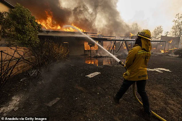 Stunning Satellite Images Show Devastation of Southern California Wildfires