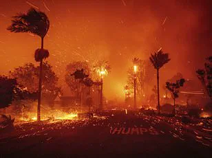 Stunning Satellite Images Show Devastation of Southern California Wildfires