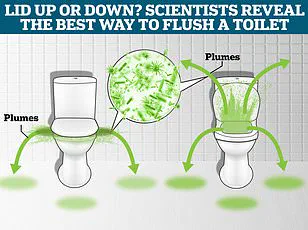 Toothbrushes Next to the Toilet: A Health Hazard?