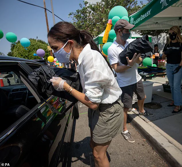 Tina Brown Slams Duke and Duchess of Sussex as 'Disaster Tourists' and Claims Prince Harry Misses Being a Prince