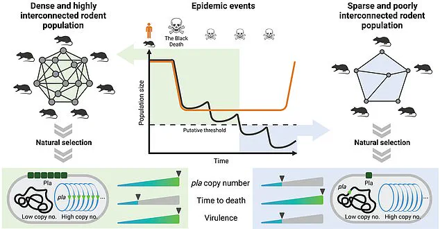 The Black Death: A Historical Analysis of the Deadliest Pandemic in Human History