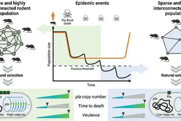 The Black Death: A Historical Analysis of the Deadliest Pandemic in Human History